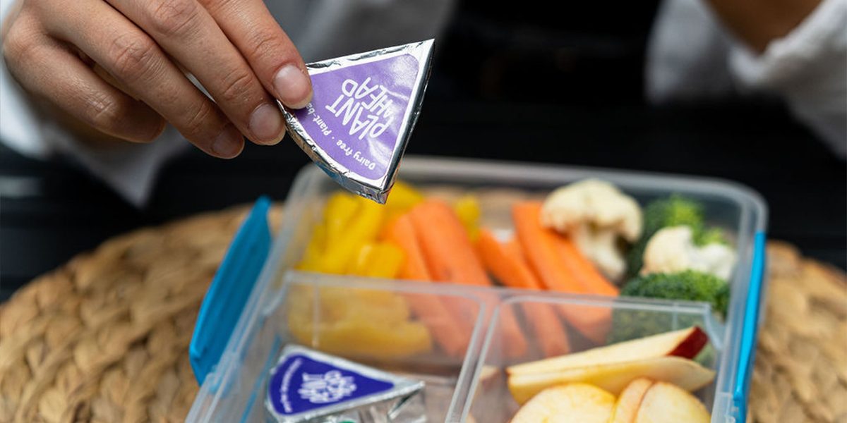 Plant-Ahead-Article-de-blogue-aout-2023-medias-1